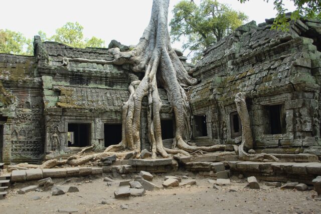 Ta prohm
