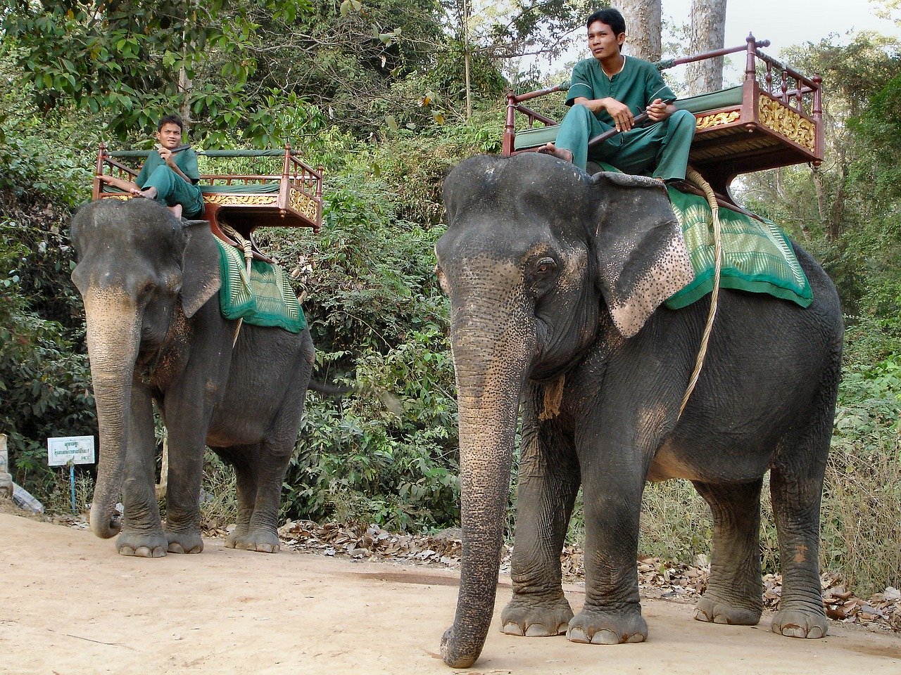 dresseur d'éléphant au Cambodge