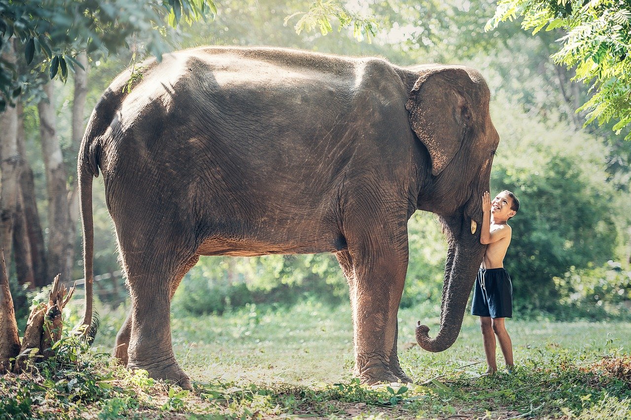 Enfant avec éléphant au Cambodge