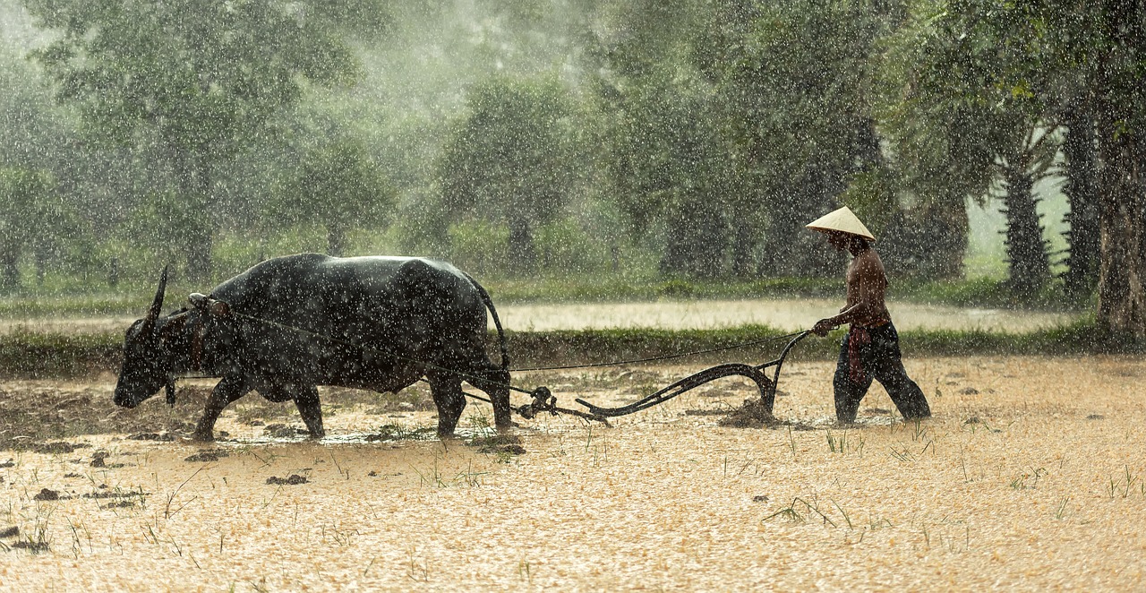 Quand partir au Cambodge