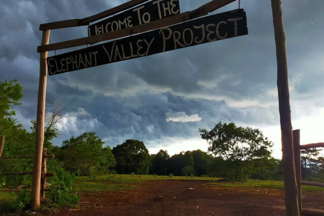 Elephant Valley Project