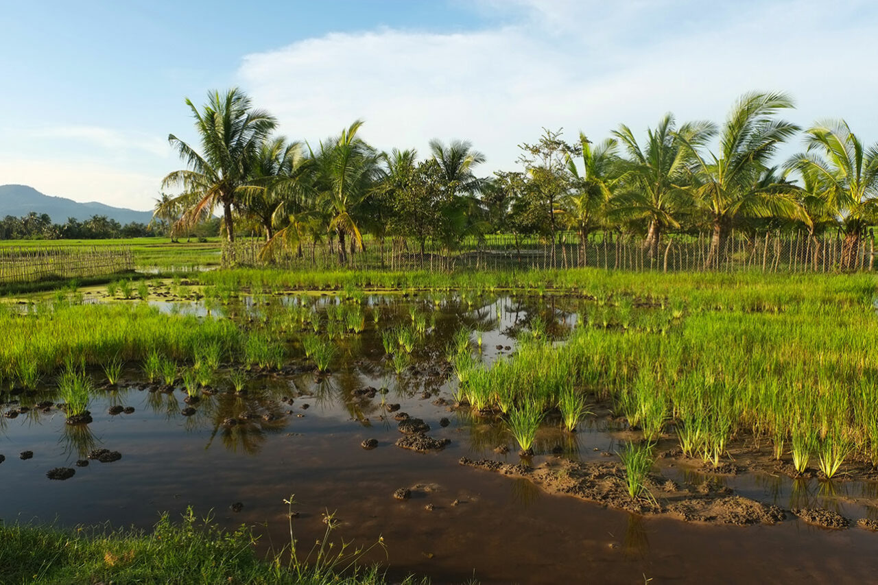 region de Kampot