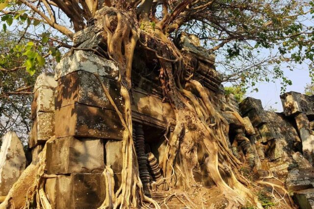 Le temple de Chau Srei Vibol