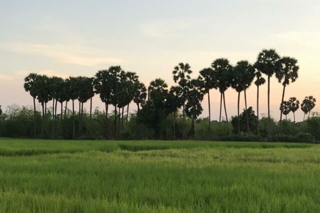 Siem Reap à la carte