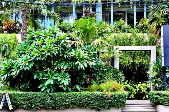 Indra Hotel Phnom Penh